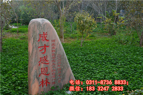 石家莊冀聯(lián)醫(yī)學院校園