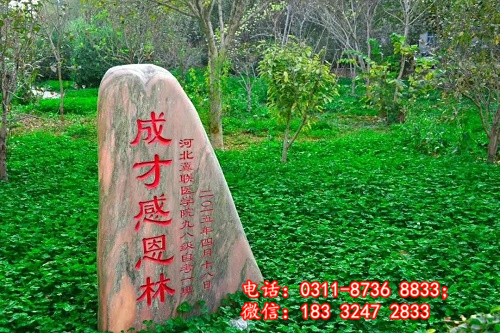 石家莊冀聯(lián)醫(yī)學(xué)院學(xué)習(xí)文化課嗎？