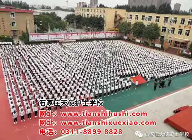 如何從北站坐公交車到石家莊天使護(hù)士學(xué)校？