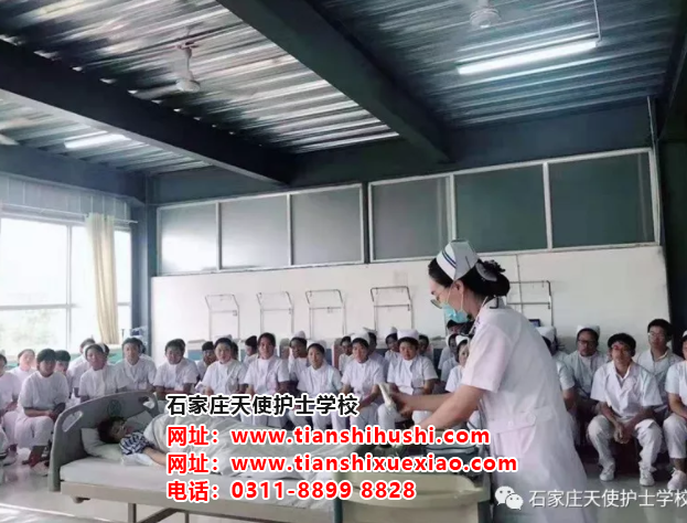 石家莊天使護(hù)士學(xué)校春季班也是學(xué)三年嗎