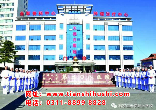 石家莊天使護(hù)士學(xué)校哪個(gè)地區(qū)的學(xué)生多