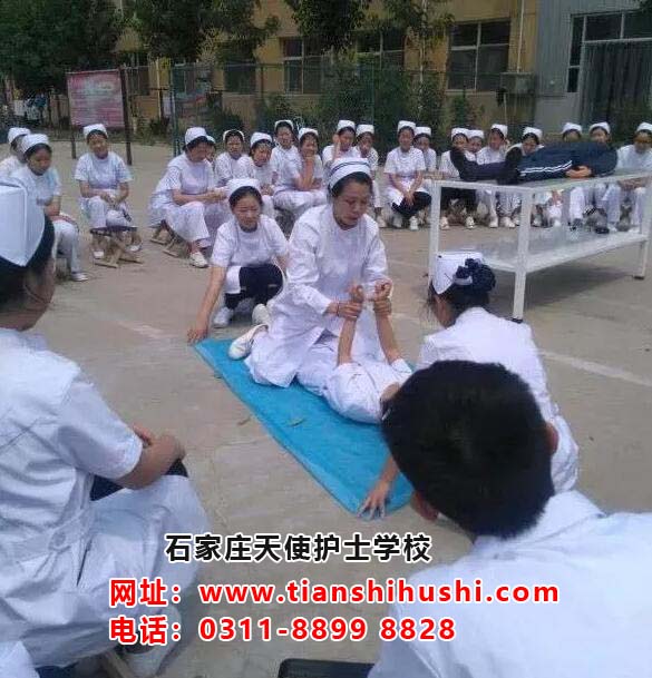 石家莊天使護(hù)士學(xué)校可以報(bào)讀臨床醫(yī)學(xué)專業(yè)嗎