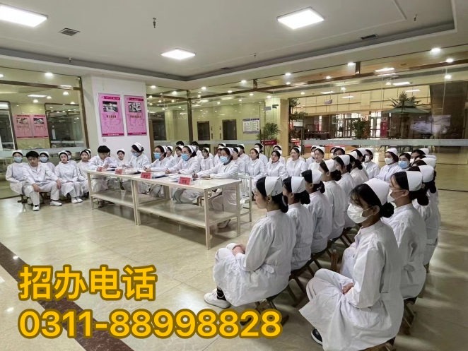 石家莊天使護士學校管分配嗎