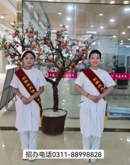 2024年石家莊天使護士學校招生簡章，開啟醫(yī)護夢想的新征程！