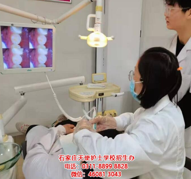 成為牙醫(yī)行業(yè)的精英：石家莊天使護(hù)士學(xué)校2024年春季口腔專業(yè)招生簡(jiǎn)章發(fā)布