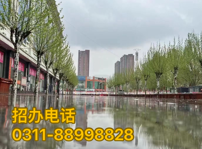 石家莊天使護(hù)士學(xué)校招生時間