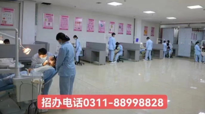 成就牙醫(yī)夢想：石家莊天使護(hù)士學(xué)校2024年春季口腔專業(yè)招生簡章詳解