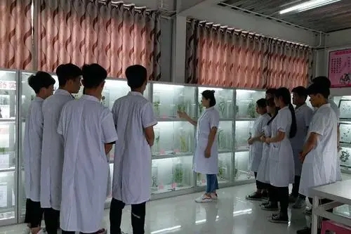 初中畢業(yè)學藥劑師學校哪里有