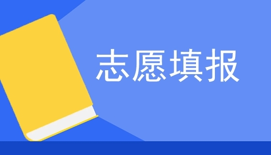 2024河北單招每人可以填報幾所大專院校
