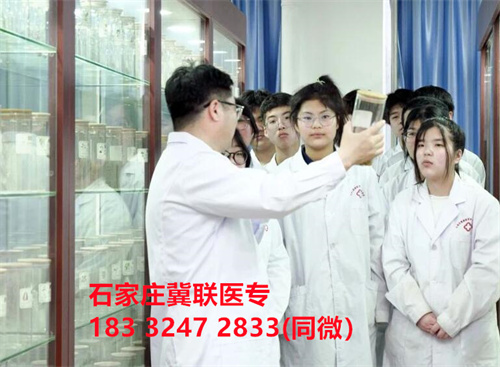 2024年承德護(hù)理職業(yè)學(xué)院?jiǎn)握蟹謹(jǐn)?shù)線