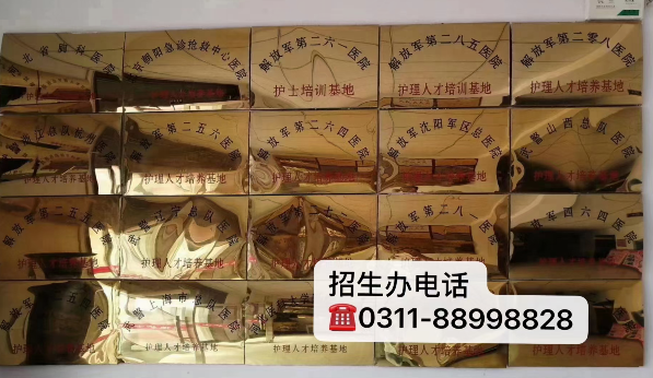 石家莊天使護(hù)士學(xué)?？孔V嗎管分配嗎