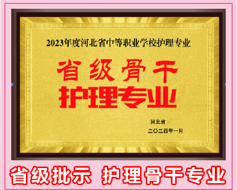 石家莊天使護(hù)士學(xué)校2025年春季招生嗎?