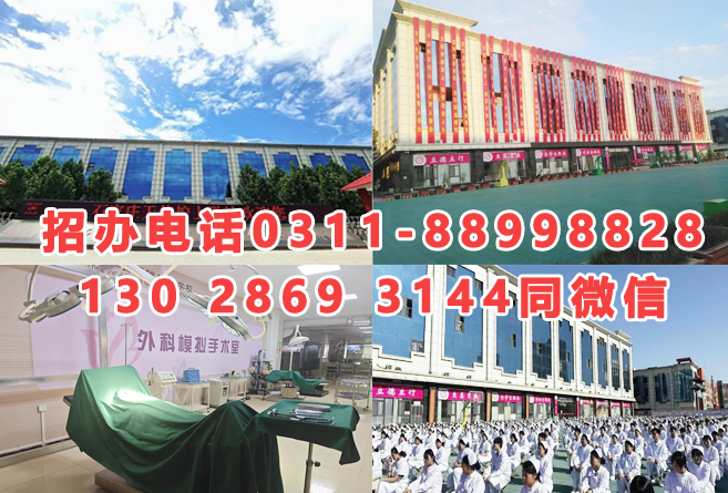 2025年石家莊天使護士學(xué)校秋季招生簡章